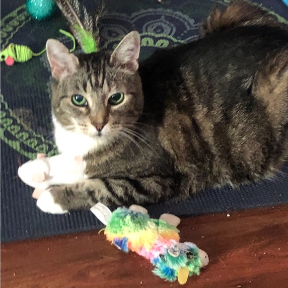 Meet your Posher, Krista - Picture 2 of 2